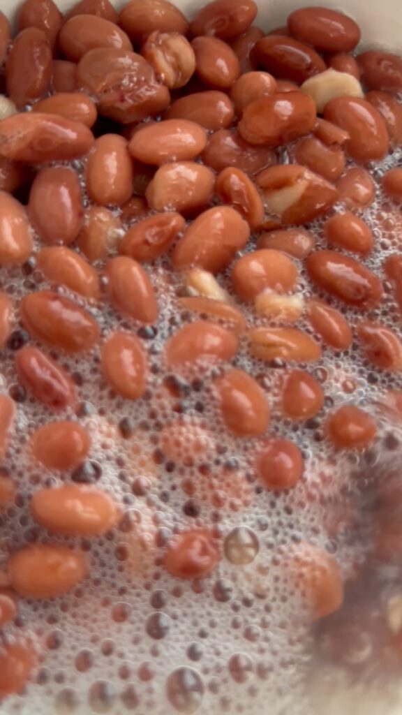 Stewed Beans